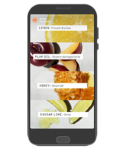 Primer Instagram Story Canvas reklame
